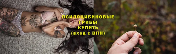 прущая мука Богородск
