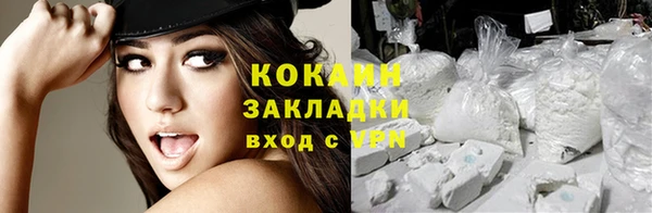 гидропоника Богданович