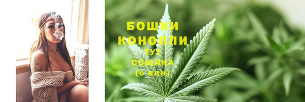 гидропоника Богданович