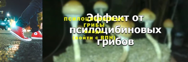 гидропоника Богданович