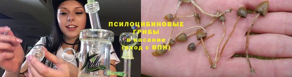 гидропоника Богданович