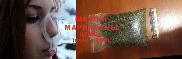 гидропоника Богданович