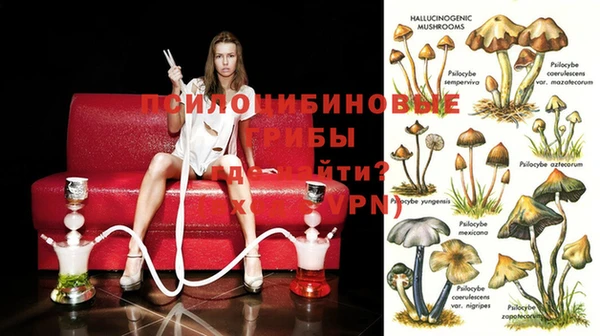 гидропоника Богданович