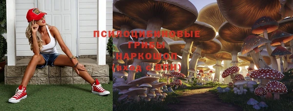 прущая мука Богородск