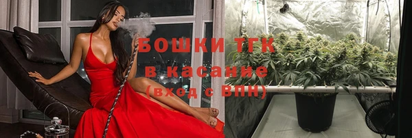 гидропоника Богданович